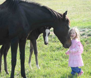 Black Forest Animal Sanctuary