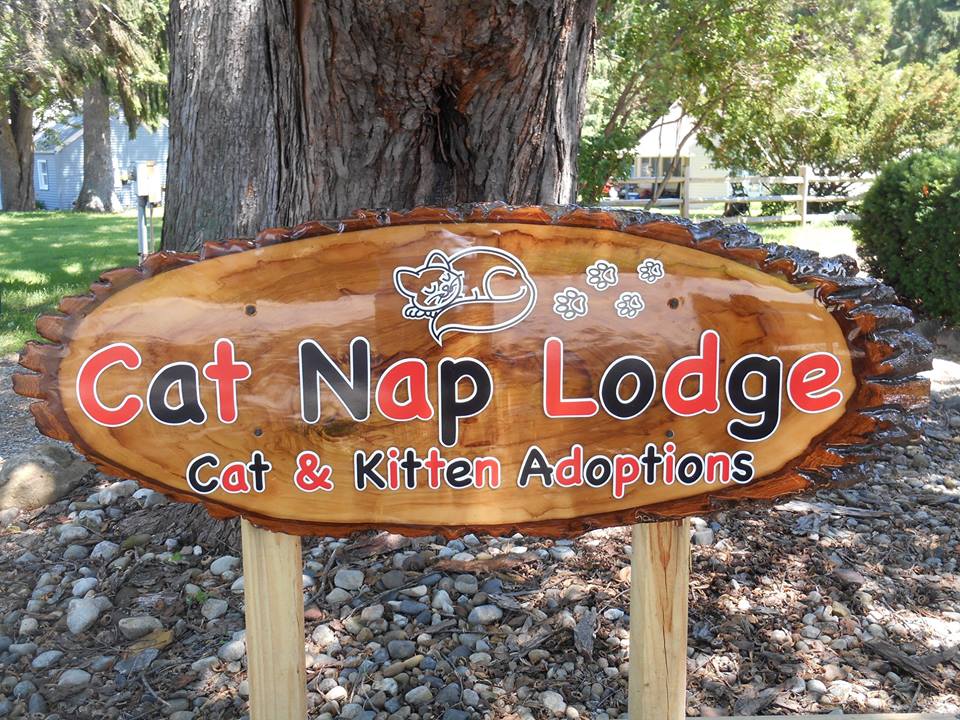 Cat Nap Lodge