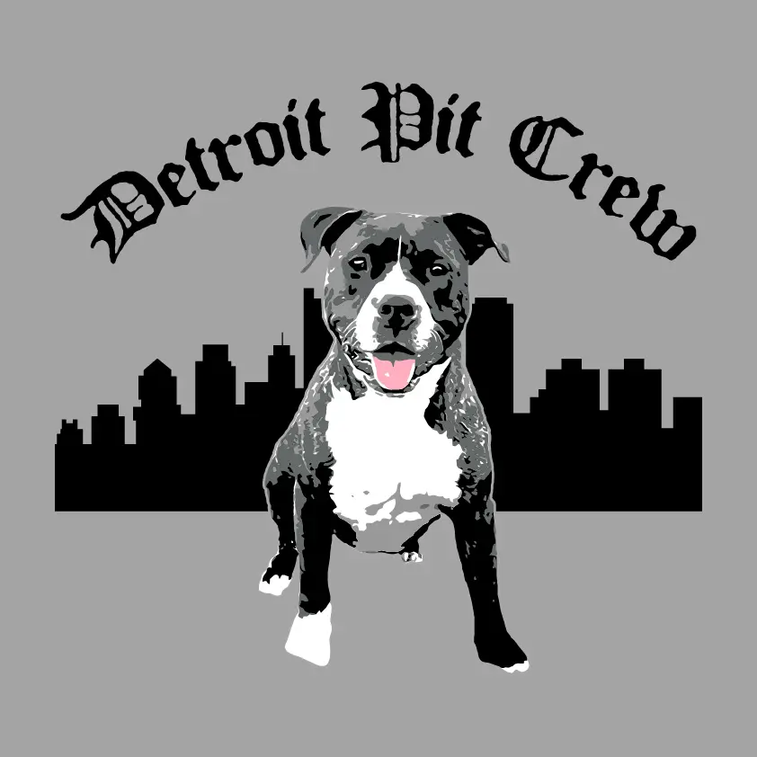 Detroit Pit Crew