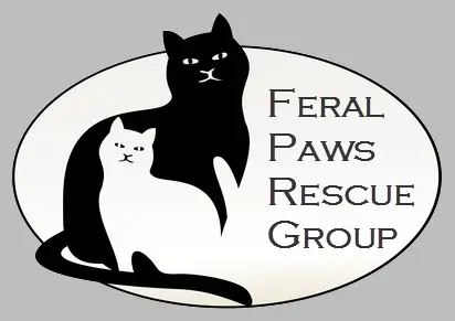 Feral Paws