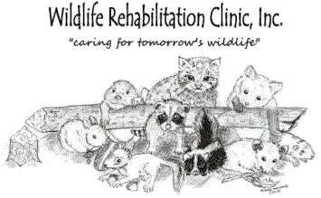 Wildlife Rehabilitation Clinic